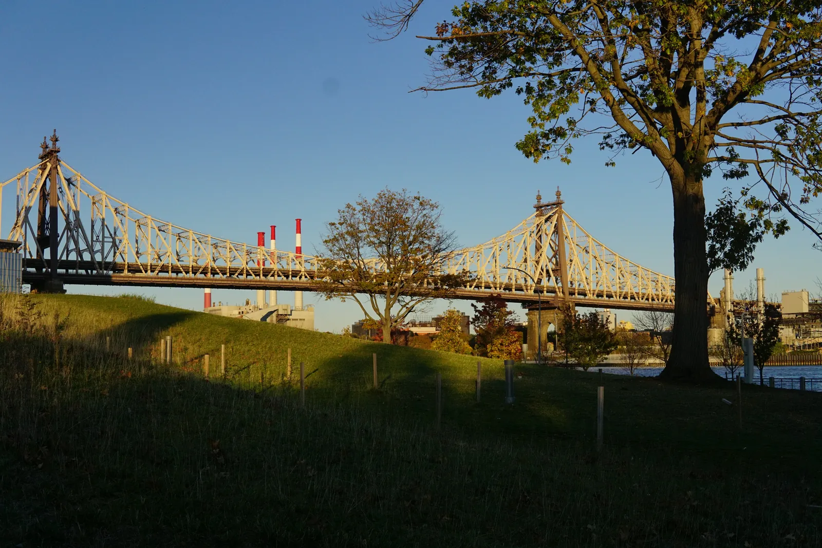 The Queensboro Bridge seen across a grassy park slope at golden hour